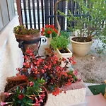 Il Piccolo Nido Bed & Breakfast
