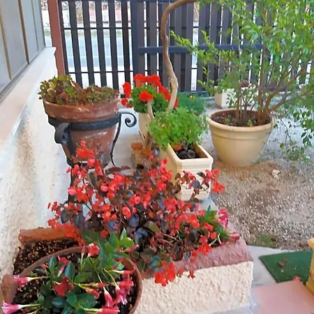 Il Piccolo Nido