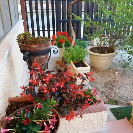 Il Piccolo Nido Bed and breakfast